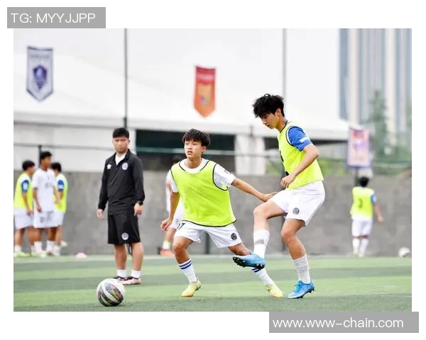 退役足球明星的生活现状与未来发展之路探讨